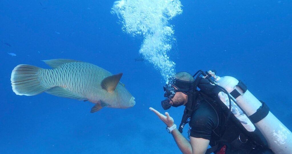 Advanced Open Water Tauchkurs Hurghada PADI