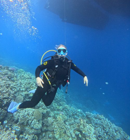 Tauchschule Hurghada